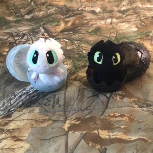 How to Train Your Dragon - dragon eggs